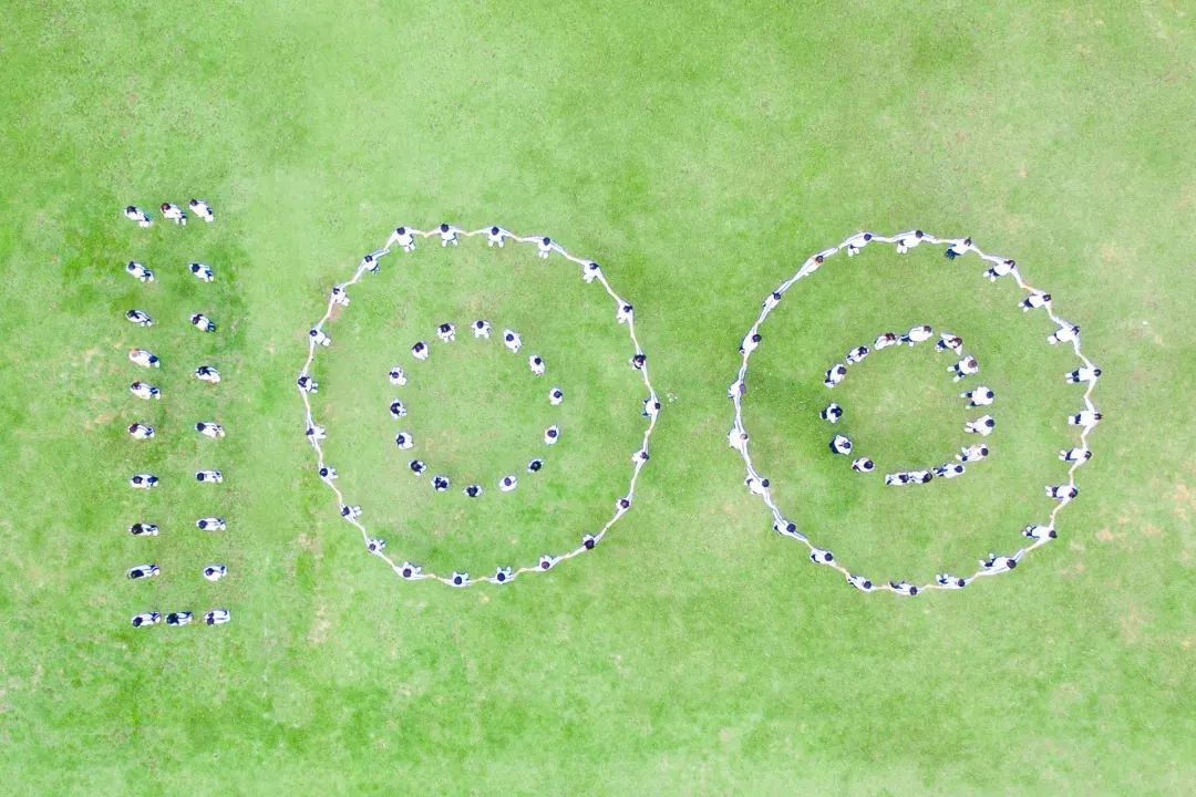 献礼建团100周年 广州工商学院供图.jpg 献礼建团100周年 广州工商学院供图.jpg
